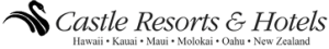 Castle_Color_Logo-copy